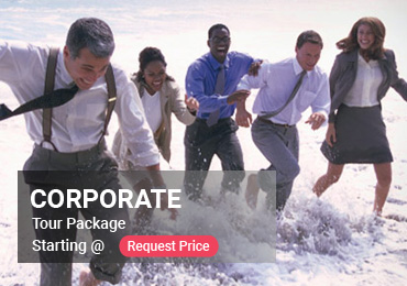 Corporate tours